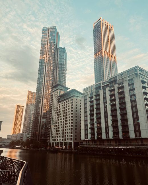 A paved riverside walkway lined with lush green trees casting shadows on the pavement, with a black metal chain railing along the water's edge and a city skyline featuring modern high-rise buildings i